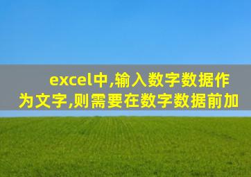 excel中,输入数字数据作为文字,则需要在数字数据前加