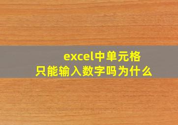 excel中单元格只能输入数字吗为什么