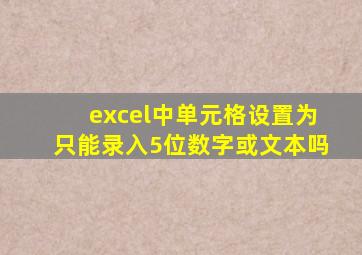 excel中单元格设置为只能录入5位数字或文本吗