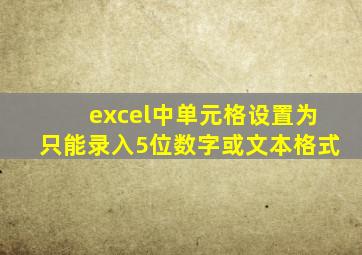 excel中单元格设置为只能录入5位数字或文本格式