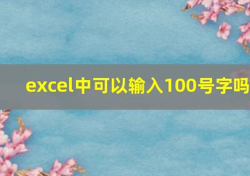 excel中可以输入100号字吗