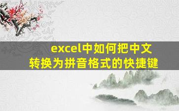 excel中如何把中文转换为拼音格式的快捷键