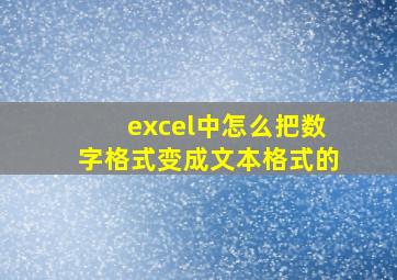 excel中怎么把数字格式变成文本格式的