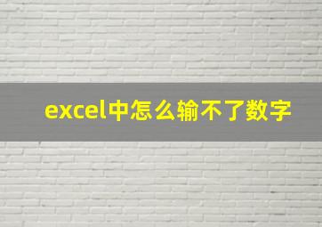 excel中怎么输不了数字