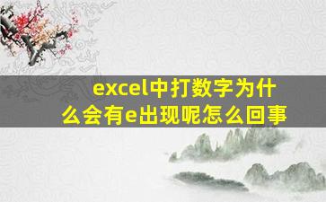 excel中打数字为什么会有e出现呢怎么回事