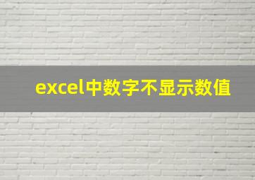 excel中数字不显示数值