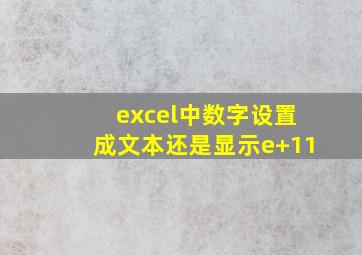 excel中数字设置成文本还是显示e+11