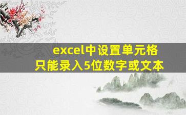 excel中设置单元格只能录入5位数字或文本