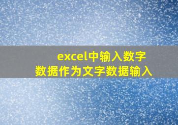 excel中输入数字数据作为文字数据输入