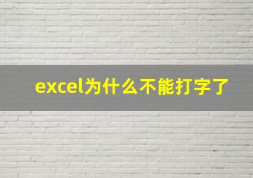 excel为什么不能打字了