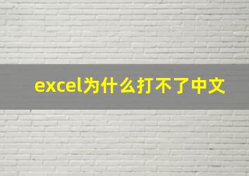 excel为什么打不了中文