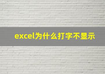 excel为什么打字不显示