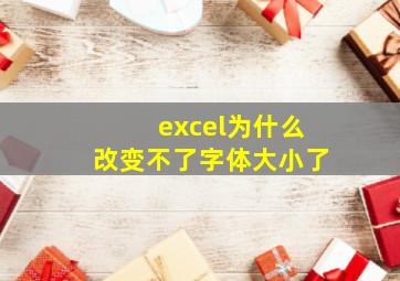 excel为什么改变不了字体大小了