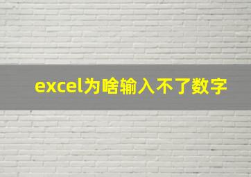 excel为啥输入不了数字