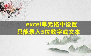 excel单元格中设置只能录入5位数字或文本