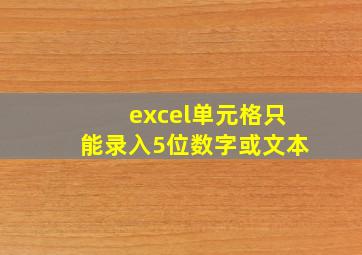 excel单元格只能录入5位数字或文本