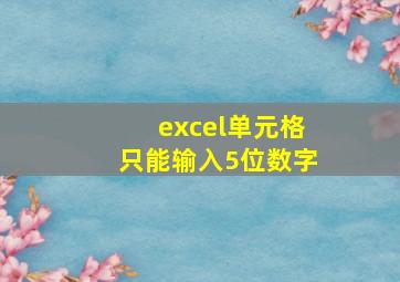 excel单元格只能输入5位数字