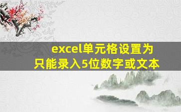 excel单元格设置为只能录入5位数字或文本