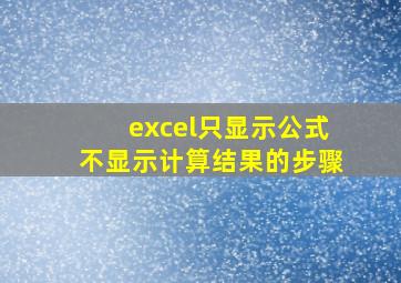 excel只显示公式不显示计算结果的步骤