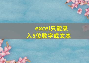 excel只能录入5位数字或文本