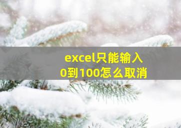 excel只能输入0到100怎么取消