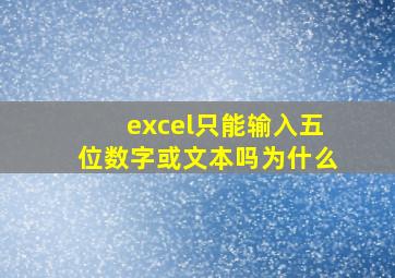 excel只能输入五位数字或文本吗为什么