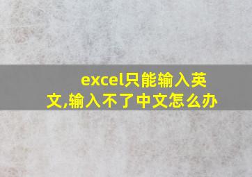 excel只能输入英文,输入不了中文怎么办