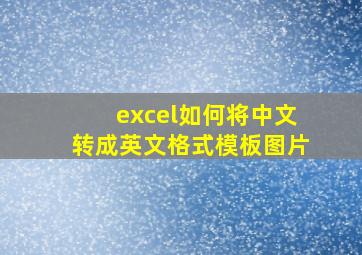 excel如何将中文转成英文格式模板图片