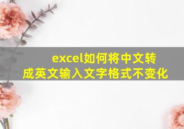 excel如何将中文转成英文输入文字格式不变化