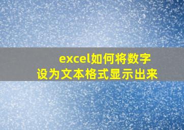 excel如何将数字设为文本格式显示出来