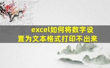 excel如何将数字设置为文本格式打印不出来