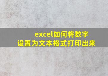 excel如何将数字设置为文本格式打印出来