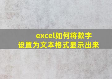 excel如何将数字设置为文本格式显示出来