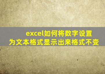 excel如何将数字设置为文本格式显示出来格式不变