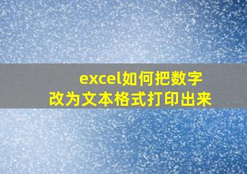 excel如何把数字改为文本格式打印出来