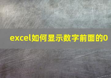 excel如何显示数字前面的0