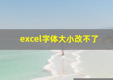 excel字体大小改不了