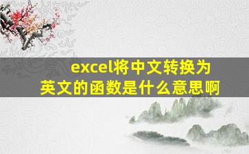 excel将中文转换为英文的函数是什么意思啊