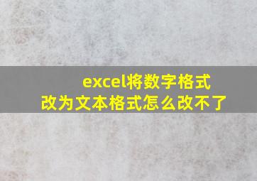 excel将数字格式改为文本格式怎么改不了