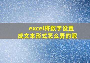 excel将数字设置成文本形式怎么弄的呢