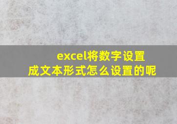 excel将数字设置成文本形式怎么设置的呢