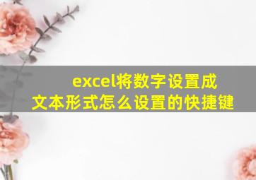 excel将数字设置成文本形式怎么设置的快捷键