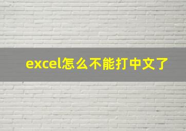 excel怎么不能打中文了