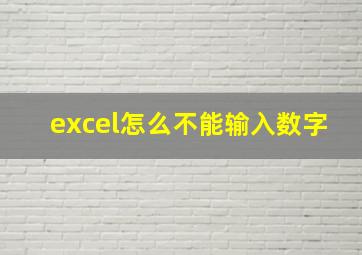 excel怎么不能输入数字