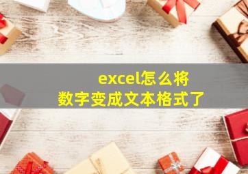 excel怎么将数字变成文本格式了