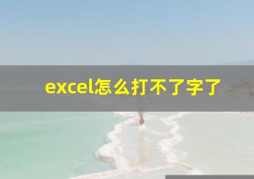 excel怎么打不了字了