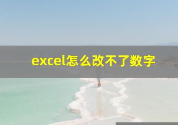 excel怎么改不了数字