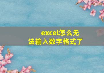 excel怎么无法输入数字格式了