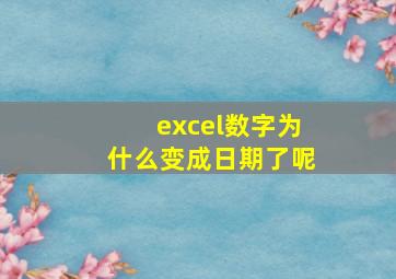 excel数字为什么变成日期了呢