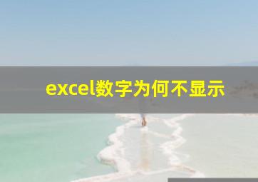 excel数字为何不显示